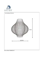 Lucide