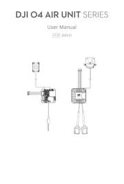 DJI