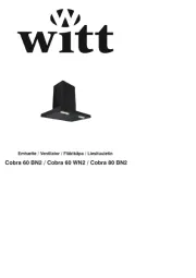 Witt
