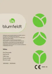 Blumfeldt