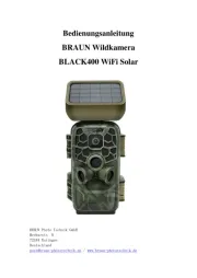 Braun