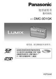 Panasonic
