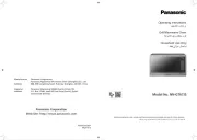 Panasonic