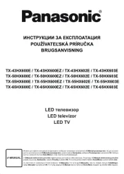 Panasonic
