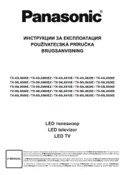 Panasonic