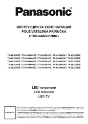 Panasonic