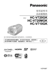 Panasonic