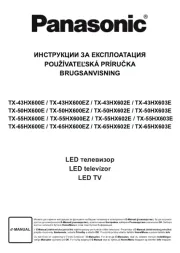 Panasonic