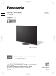 Panasonic