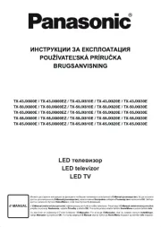 Panasonic