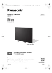 Panasonic