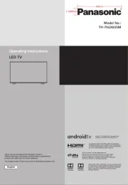 Panasonic