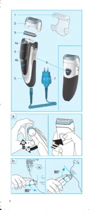 Braun
