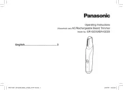Panasonic