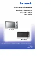 Panasonic