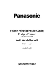 Panasonic
