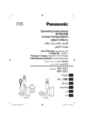 Panasonic