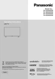 Panasonic