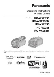 Panasonic