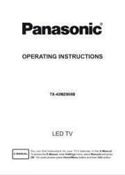 Panasonic