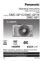 Panasonic