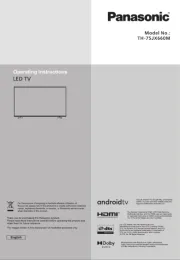 Panasonic