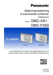 Panasonic