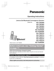 Panasonic