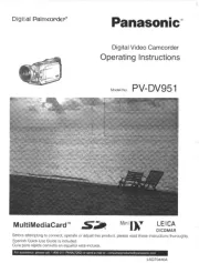 Panasonic