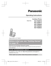 Panasonic