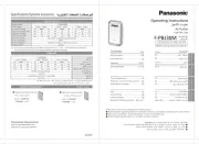 Panasonic