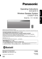 Panasonic