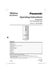 Panasonic