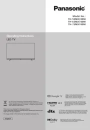 Panasonic