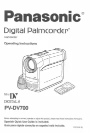 Panasonic
