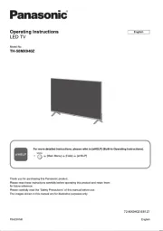 Panasonic