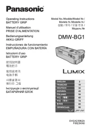 Panasonic