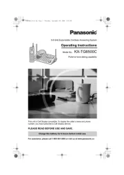 Panasonic