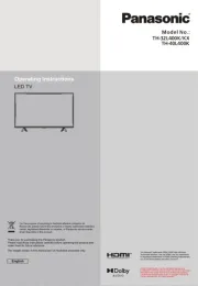 Panasonic