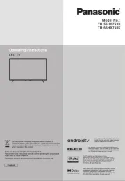 Panasonic