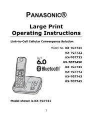 Panasonic