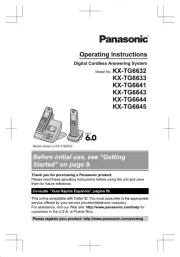 Panasonic