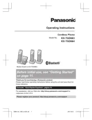 Panasonic