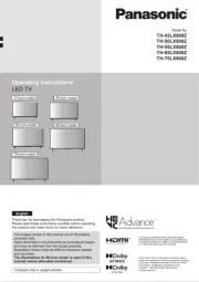 Panasonic