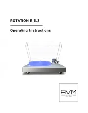 AVM