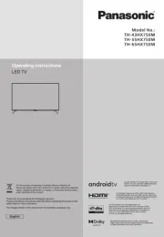 Panasonic
