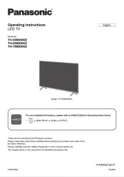 Panasonic