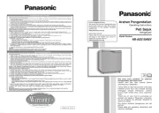 Panasonic