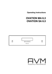 AVM