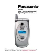 Panasonic